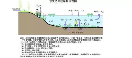 城镇河道生态修复与水环境综合治理 关键技术及实践路径
