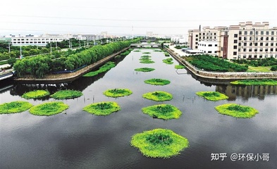 城市河道综合治理与生物修复 水环境生态修复技术研究