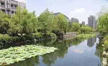 六大水环境生态修复技术详细解析与对比