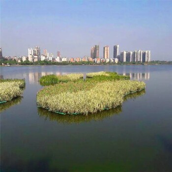 南昌水生态修复复合纤维生态浮岛价格优惠