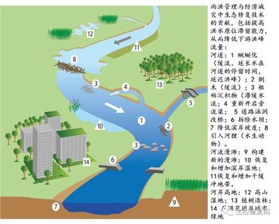 城市生态修复 城市洪涝风险的防控探讨与水环境生态修复技术