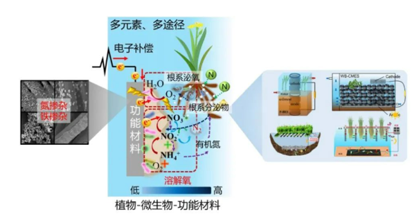 北控水务水生态技术再获殊荣，水环境生态修复技术领跑行业