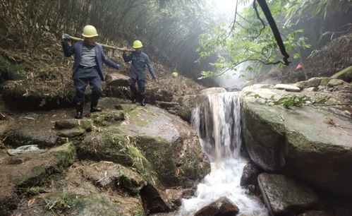 雨雾天不误工，仰天湖景区加紧施工迎开园——水环境生态修复技术成亮点